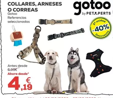 Pet Perts - Collares, Arneses O Correas