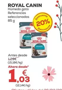 Royal Canin - Húmedo Gato