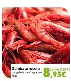 Gamba Arrocera