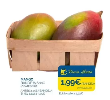 mango - Mango