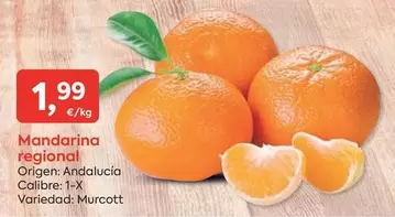 origen - Mandarina Regional