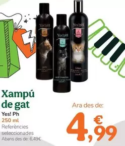 Yes!Ph - Xampú De Gat
