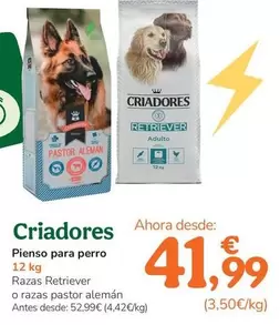 Criadores - Pienso Para Perro