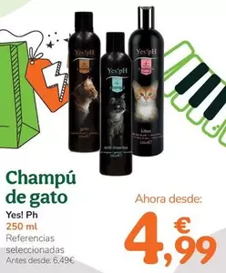Yes!Ph - Champú De Gato