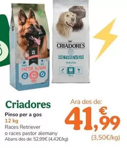 Criadores - Pienso Para Perro