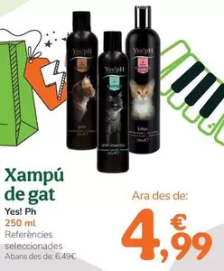 Yes!Ph - Champú De Gato