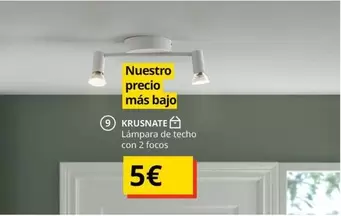 Lampara De Techo Con 2 Focos