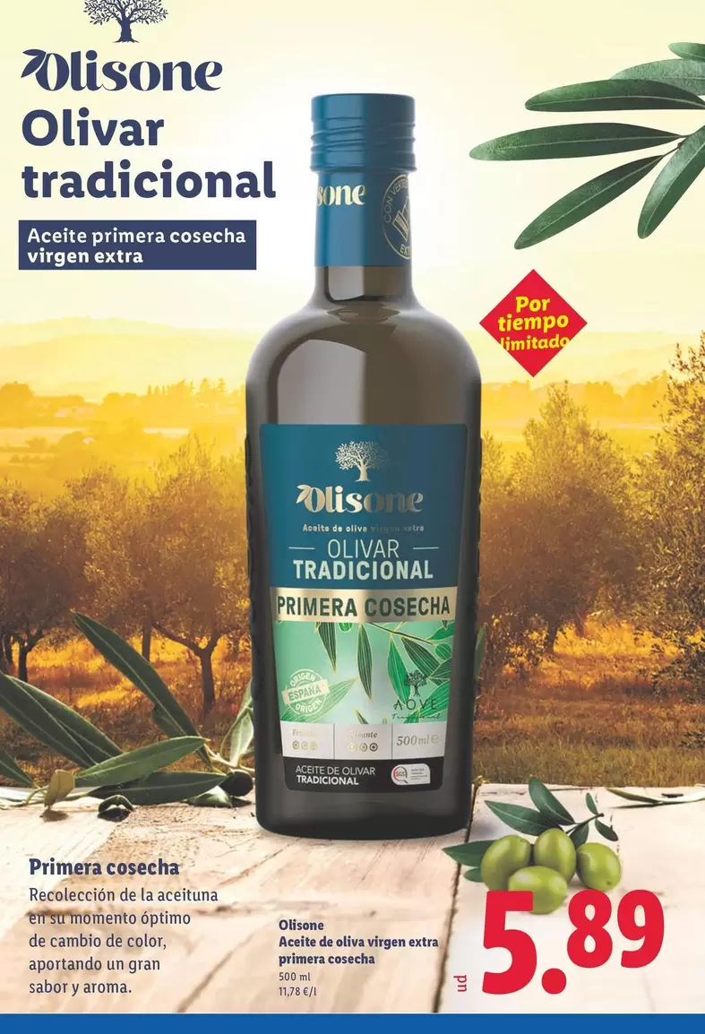 Olisone - Olivar Tradicional