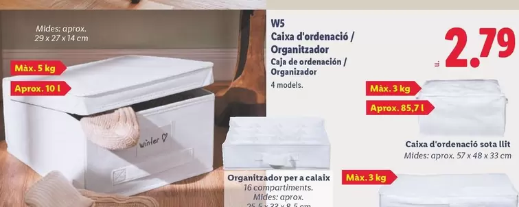 W5 - Caja De Ordenación/Organizador