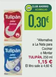 Tulipán -  -