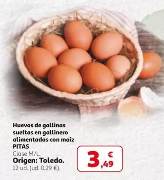 Pitas - Huevos De Gallinas Sueltas En Gallinero Alimentadas Con Maíz