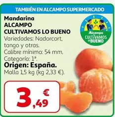 alcampo - Mandarina