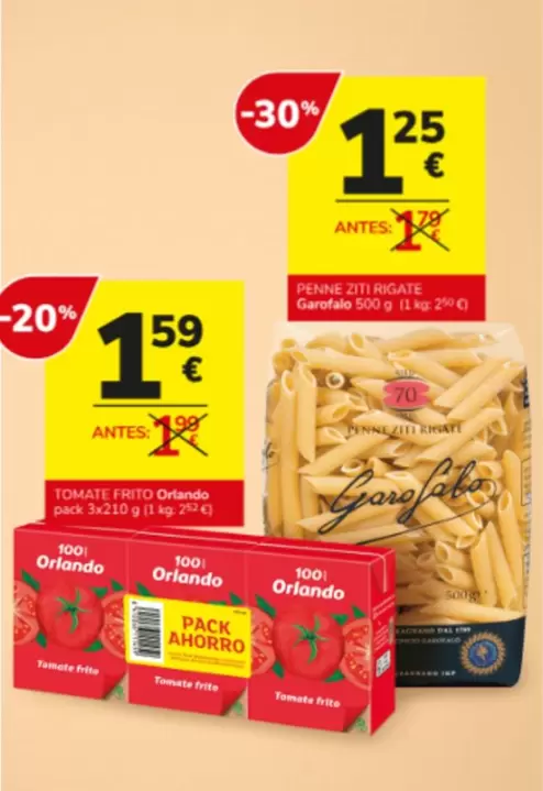 Orlando - Pein Elite