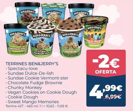 Ben & Jerry's - Terrines