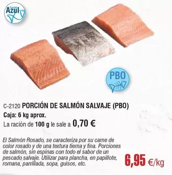 Salvaje - Porcion De Salmón (PBO)