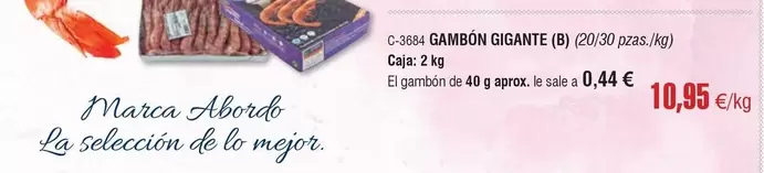 abordo - Gambón Gigante
