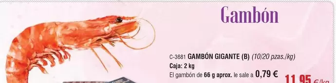 Gambon Gigante