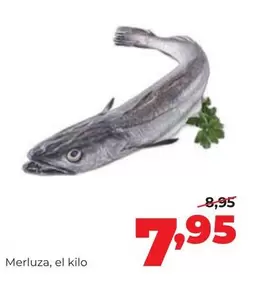 Merluza
