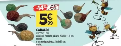 Caracol