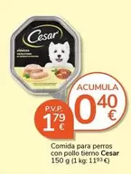 Cesar - Comida Para Perros Con Pollo Tierno