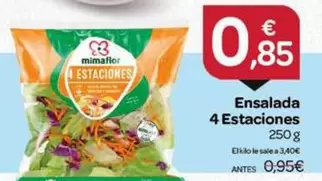 Mimaflor - Ensalada 4 Estaciones