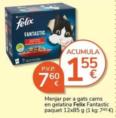 Felix - Menjar Per A Gats Carns En Gelatina Fantastic