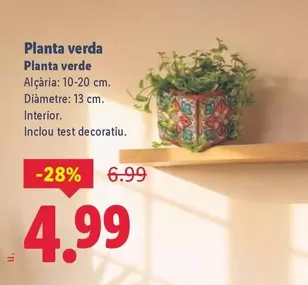 Planta Verde