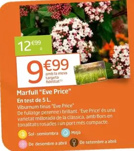 Marfull "Eve Price"