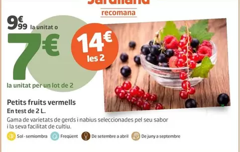Petits Fruits Vermells En Test De 2 L
