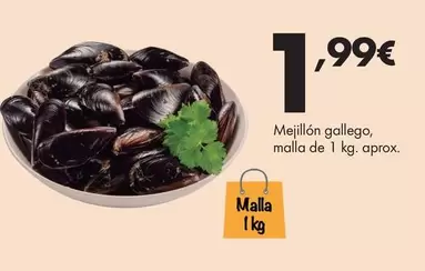 Mejillon Gallego