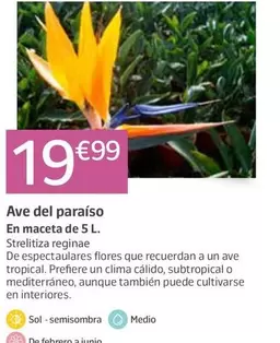 Au Del Paradis
