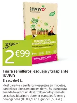 Invivo - Terra Planters, Esqueixos I Transplantament