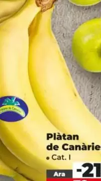 Plátano De Canarias