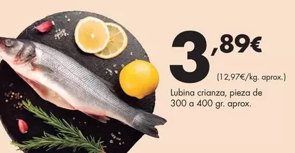 Lubina Crianza