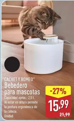 Cachet Y Romeo - Bebedero Para Mascotas