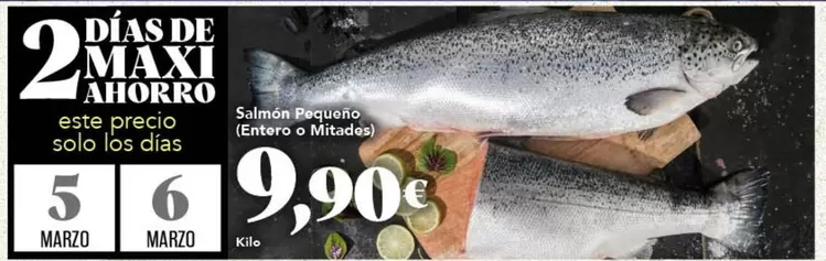 Solo - Salmon Pequeno