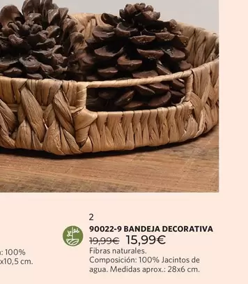 Crea Un Ambiente Acogedor Y Lleno De Estilo