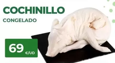 Cochinillo Congelado 