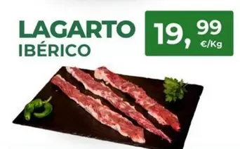 Lagarto Ibérico