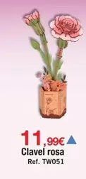 Clavel Rosa