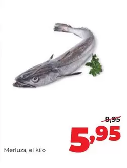 Alimerka - Merluza