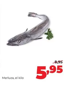 Alimerka - Merluza