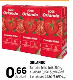Orlando - Tomate Frito Brik