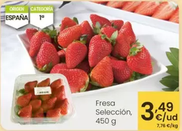 Fresa Selección