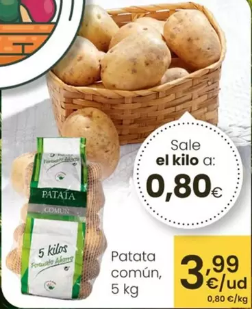 Patata Común