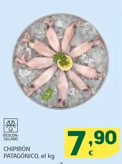 Chipiron Patagonico