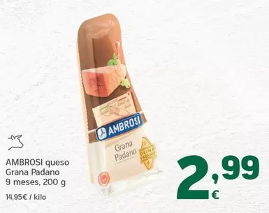 Ambrosi - Queso Grana Padano 9 Meses