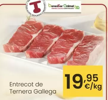 Entrecot De Ternera Gallega