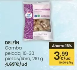 Delfín - Gamba Pelada