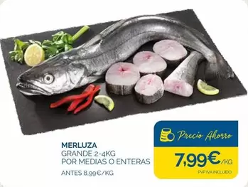 Merluza